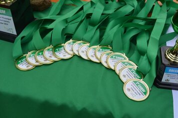 Foto - Campeonato Municipal de Futebol 7