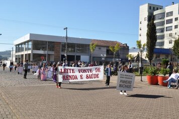 Foto - Caminhada Cívica em homenagem à Patria e aos 55 anos de Anta Gorda