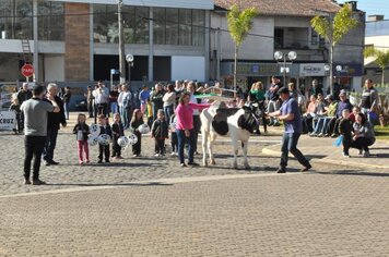 Foto - Caminhada Cívica em homenagem à Patria e aos 55 anos de Anta Gorda