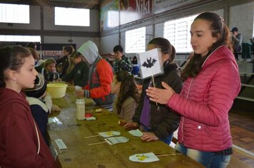 Foto - V Feira de Ciências - 23/08/18