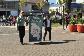 Foto - Caminhada Cívica em homenagem à Patria e aos 55 anos de Anta Gorda