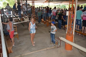 Foto - Campeonato Municipal de Bochas