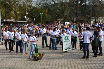 Foto - Desfile 7 de Setembro