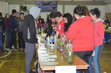 Foto - V Feira de Ciências - 23/08/18