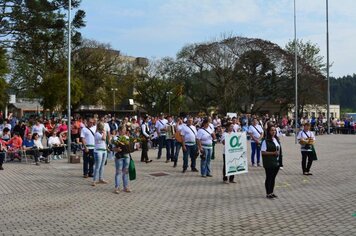 Foto - Desfile 7 de Setembro