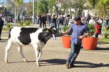 Foto - Caminhada Cívica em homenagem à Patria e aos 55 anos de Anta Gorda