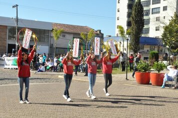 Foto - Caminhada Cívica em homenagem à Patria e aos 55 anos de Anta Gorda