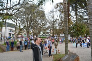 Foto - Desfile 7 de Setembro