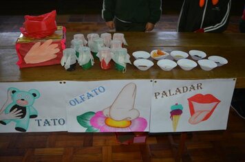 Foto - V Feira de Ciências - 23/08/18