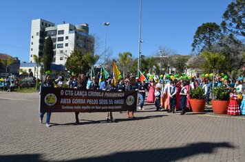 Foto - Caminhada Cívica em homenagem à Patria e aos 55 anos de Anta Gorda