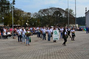 Foto - Desfile 7 de Setembro