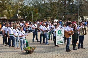 Foto - Desfile 7 de Setembro