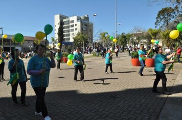 Foto - Caminhada Cívica em homenagem à Patria e aos 55 anos de Anta Gorda