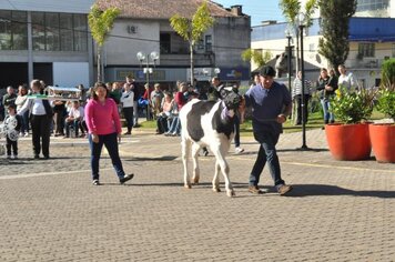 Foto - Caminhada Cívica em homenagem à Patria e aos 55 anos de Anta Gorda