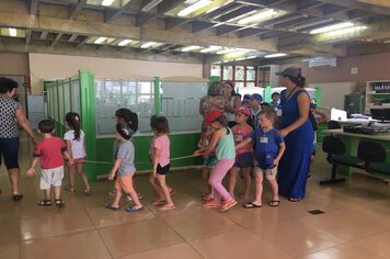 Foto - Projeto Férias na Biblioteca verão 2019!