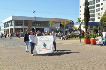 Foto - Caminhada Cívica em homenagem à Patria e aos 55 anos de Anta Gorda