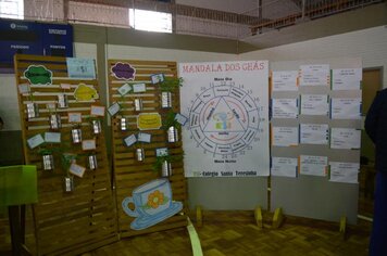 Foto - V Feira de Ciências - 23/08/18