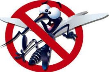 Mosquito Aedes aegypti , fique atento!