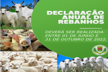 DECLARAÇÃO ANUAL DE REBANHO 2022