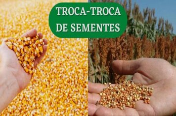 Programa ‘Troca-Troca’ de Sementes de Milho e Sorgo para o ano safra 2021/2022