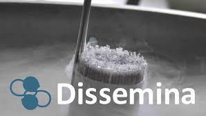 Programa Dissemina atenderá Anta Gorda