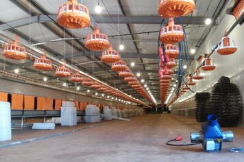 Condomínio Avícola terá primeiro lote alojado no dia 09 de março