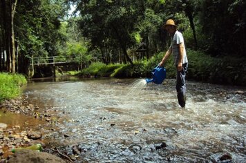 Ações para o controle do mosquito borrachudo têm continuidade