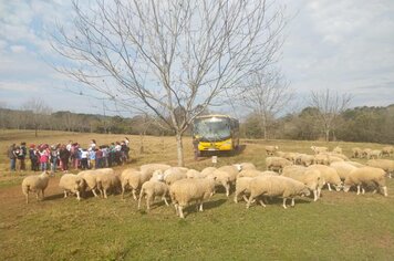 Projeto de Férias leva crianças a passeio pelo interior 