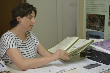 A comunidade de Anta Gorda se depara com o problema das baratas