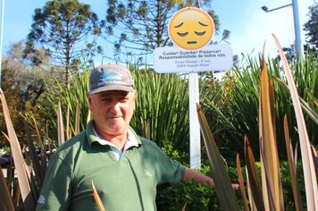 Placas com mensagens e emojis conquistam o público