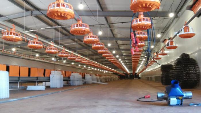 Condomínio Avícola terá primeiro lote alojado no dia 09 de março