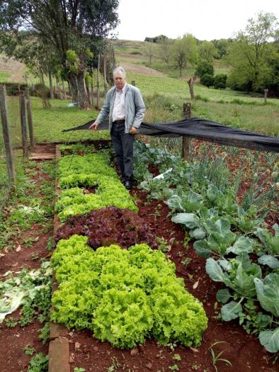 Hortas escolares ganham destaque nas comunidades