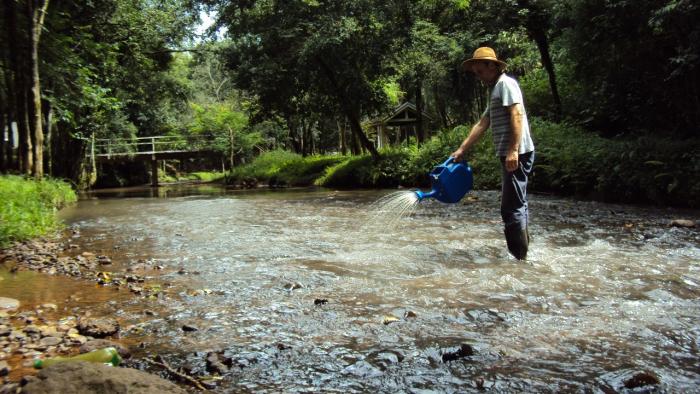 Ações para o controle do mosquito borrachudo têm continuidade