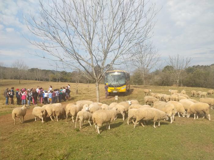 Projeto de Férias leva crianças a passeio pelo interior 