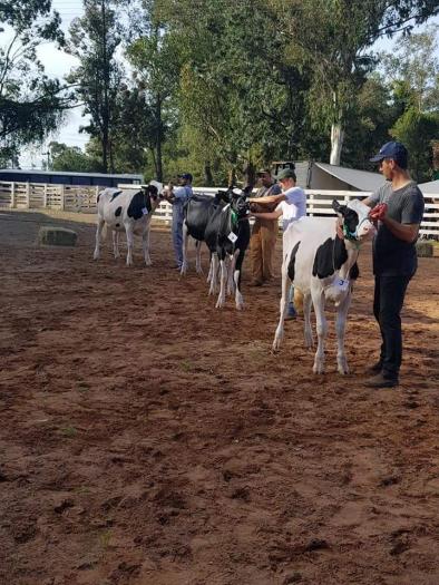 Família Alba, representando o Município de Anta Gorda, tem premiação na Exposol.